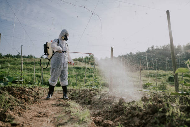 Best Local Pest Control Services  in Centerburg, OH