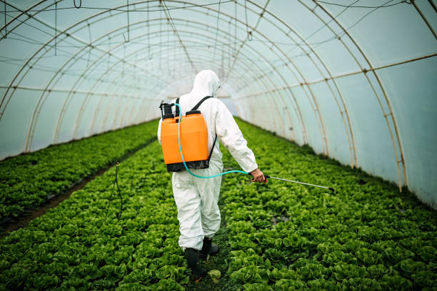 Best Pest Control Near Me  in Centerburg, OH
