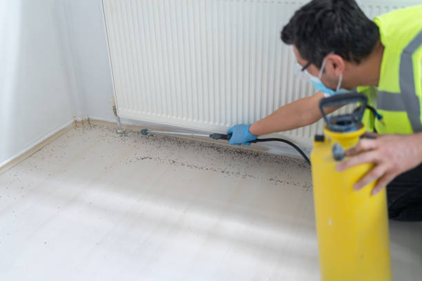 Best Mosquito Control Services  in Centerburg, OH