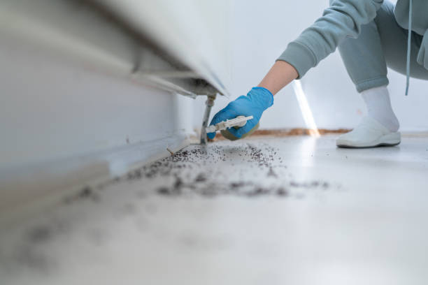 Best Flea Control Services  in Centerburg, OH